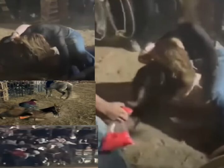 Violencia, golpes entre jóvenes, heridos y destripados en el torneo de lazo de Kanasín