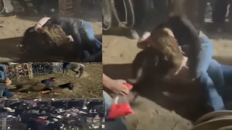 Violencia, golpes entre jóvenes, heridos y destripados en el torneo de lazo de Kanasín