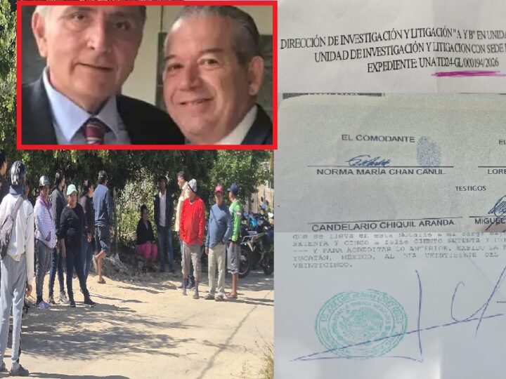 Fraude en el programa federal de manglares: Ya hay demandas en la FGE e interpondrán otras en la FGR