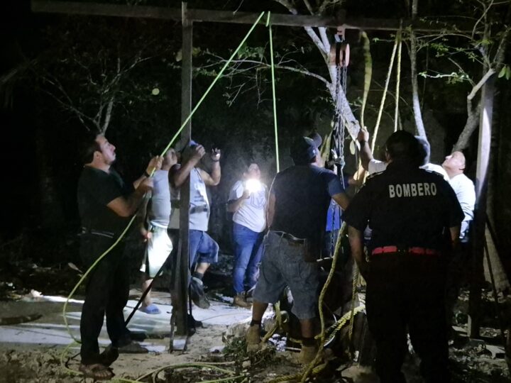 Una joven lesionada y un caballo muerto, luego de ser atacados por una jauría de perros en Dzidzantún.