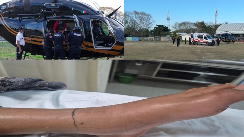 Una serpiente de cascabel muerde a una niña en una comisaría de Tizimín