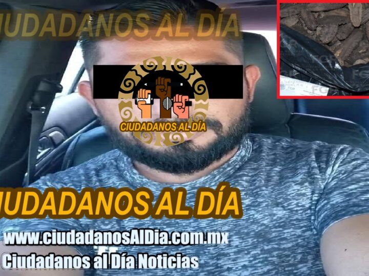 Detienen a Candelario en un retén en Dzilam de Bravo: Trasportaba pepino de mar y caracol