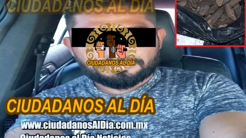 Detienen a Candelario en un retén en Dzilam de Bravo: Trasportaba pepino de mar y caracol