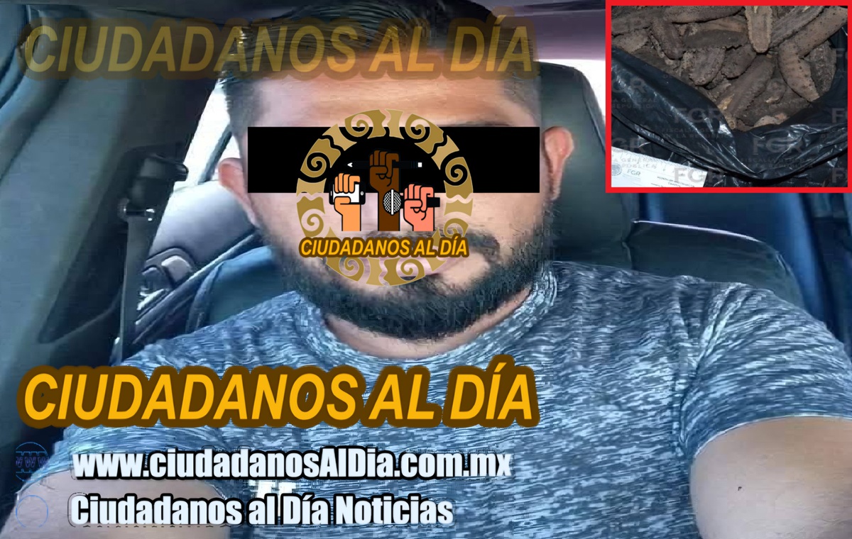 Detienen a Candelario en un retén en Dzilam de Bravo: Trasportaba pepino de mar y caracol