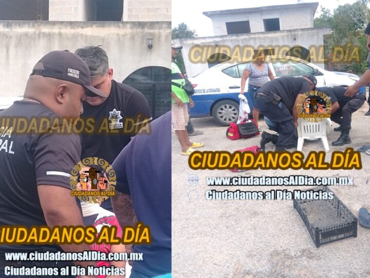 No hay ambulancia para trasladar a una mujer seminconsciente: La tiro un perro en Dzidzantún  