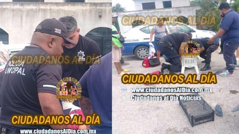 No hay ambulancia para trasladar a una mujer seminconsciente: La tiro un perro en Dzidzantún  