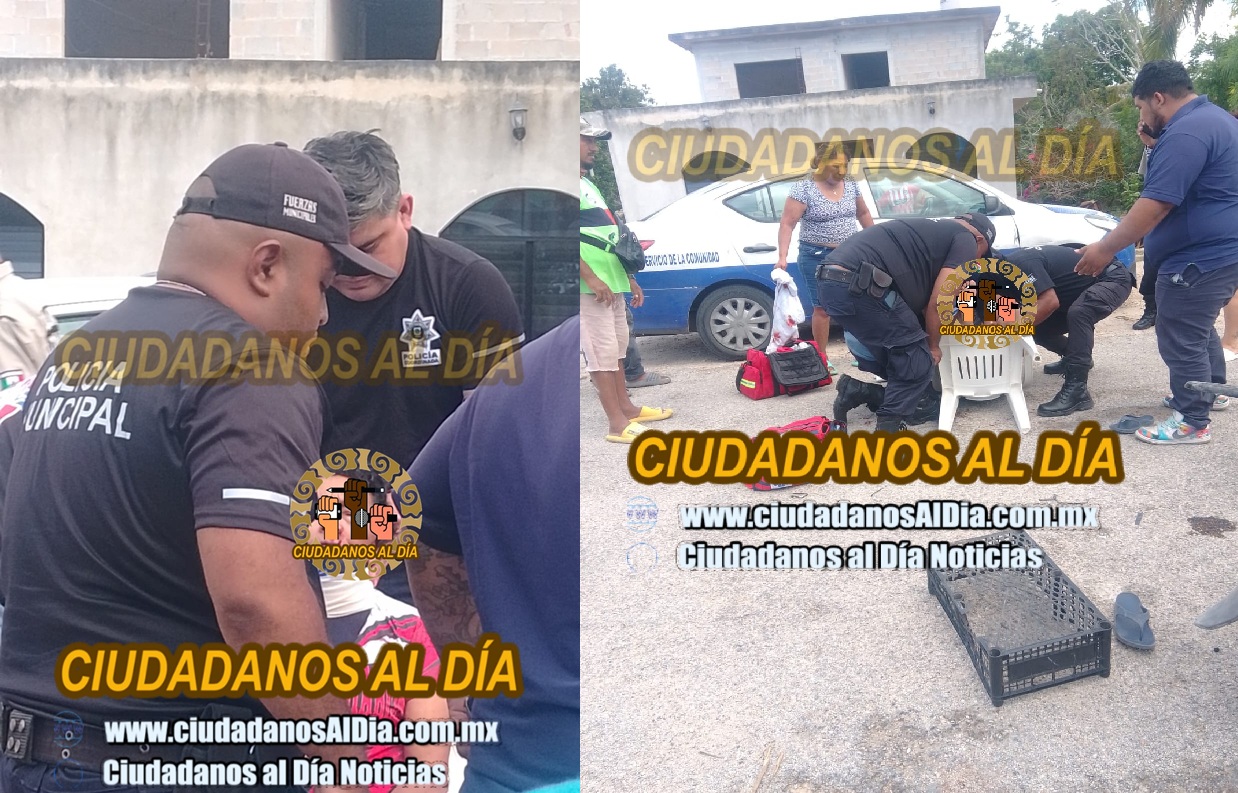 No hay ambulancia para trasladar a una mujer seminconsciente: La tiro un perro en Dzidzantún  