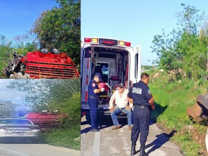 Una camioneta con remolque, vuelca con tres toros en la vía federal Cansahcab- Temax