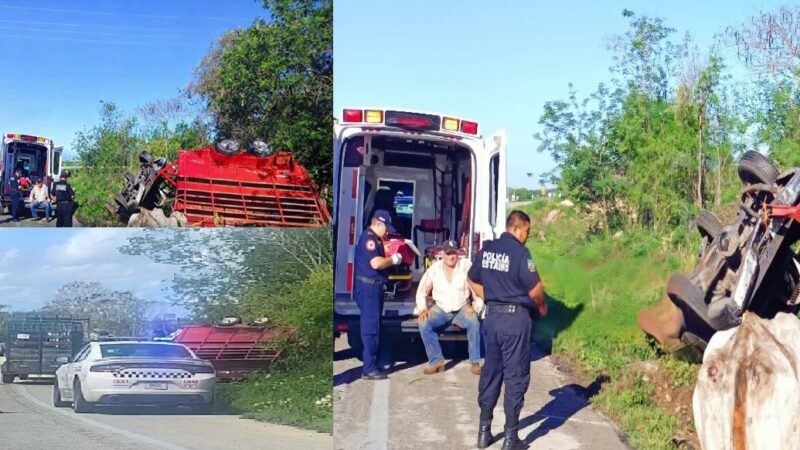 Una camioneta con remolque, vuelca con tres toros en la vía federal Cansahcab- Temax