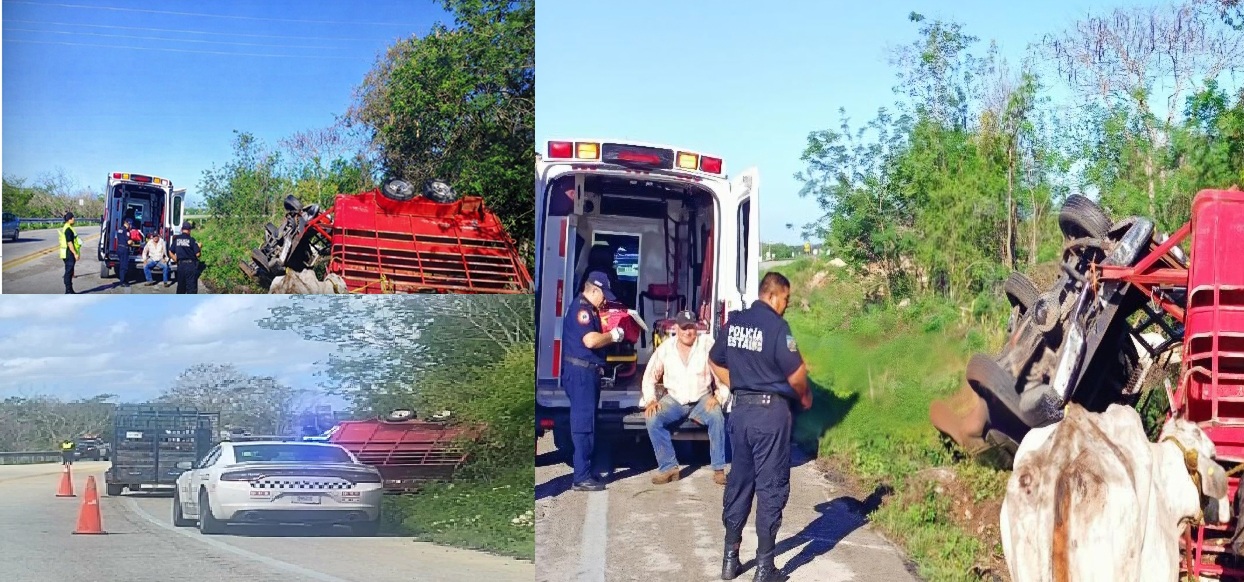 Una camioneta con remolque, vuelca con tres toros en la vía federal Cansahcab- Temax