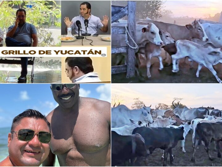 ¡El fin del mundo! Políticos ratas como el Zorro Rata y Freddy Ruz invocan a Dios mientras roban