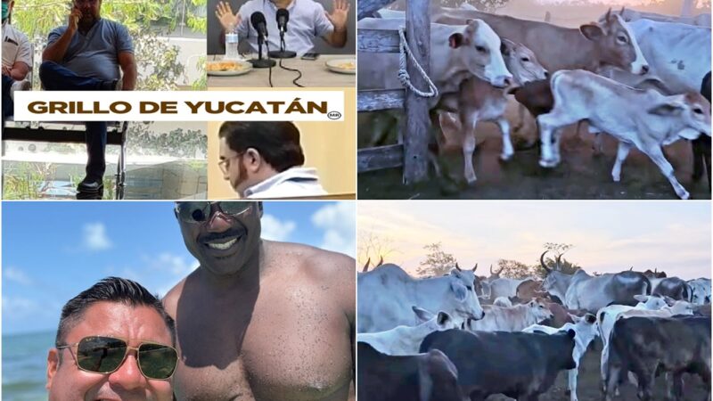 ¡El fin del mundo! Políticos ratas como el Zorro Rata y Freddy Ruz invocan a Dios mientras roban