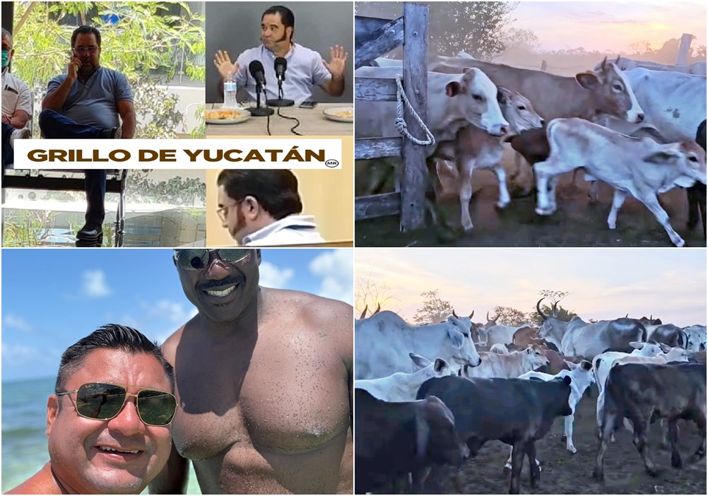 ¡El fin del mundo! Políticos ratas como el Zorro Rata y Freddy Ruz invocan a Dios mientras roban