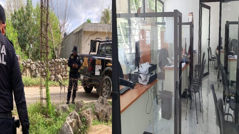 Desalmado mata estrangulada a una perrita en una comisaria de Motul: la colgó de un árbol por comer una gallina