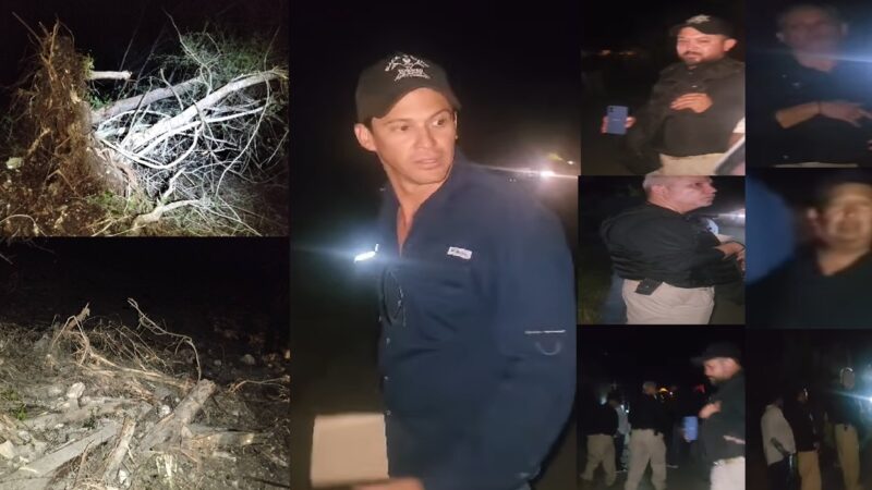 Inmobiliarias despojan más de mil hectáreas a ejidatarios Becanchen comisaria de Tekax