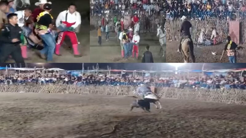 Un toro de lidia destripa un caballo y hiere de gravedad a un poch vaquero en Xanabá