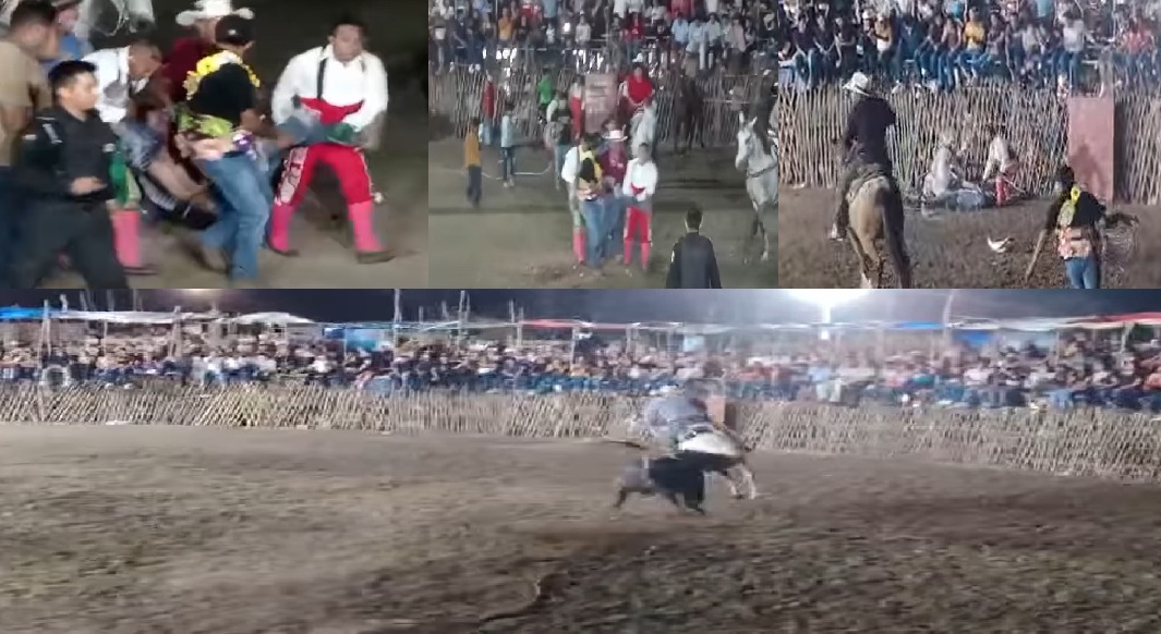 Un toro de lidia destripa un caballo y hiere de gravedad a un poch vaquero en Xanabá