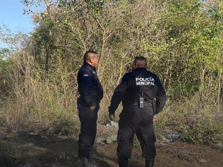 Tras varios días de desaparecido hallan su cadáver en un terreno baldío en Tizimín