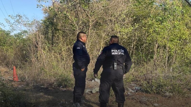 Tras varios días de desaparecido hallan su cadáver en un terreno baldío en Tizimín
