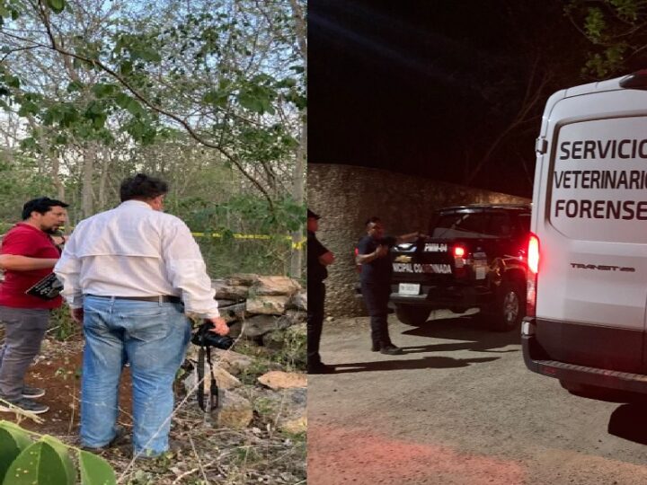 De un balazo matan a al “Niño” en Tanyá comisaria de Motul: Temen el caso quede impune