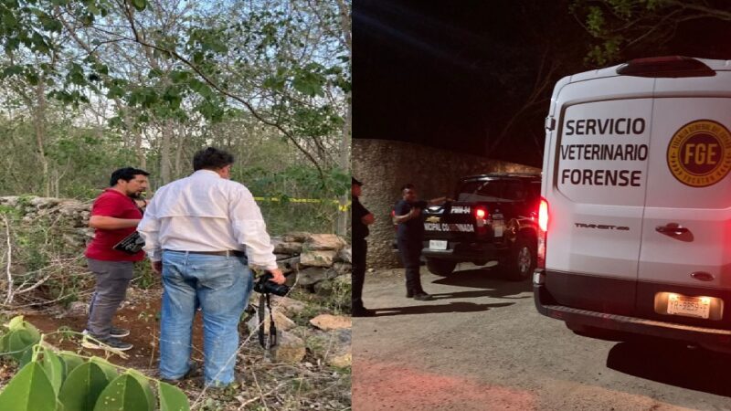 De un balazo matan a al “Niño” en Tanyá comisaria de Motul: Temen el caso quede impune
