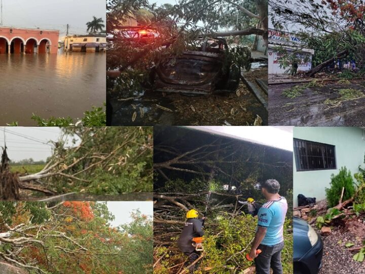 Turbonada sepulta bajo el agua Maxcanú, y deja arboles caídos en Mérida, Dzilam González, Kanasín y otros municipios.