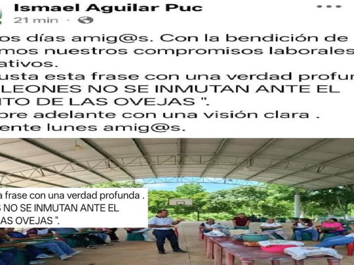 Ismael Aguilar se siente el León de Judá, pero es una vil Rata de Dzidzantún