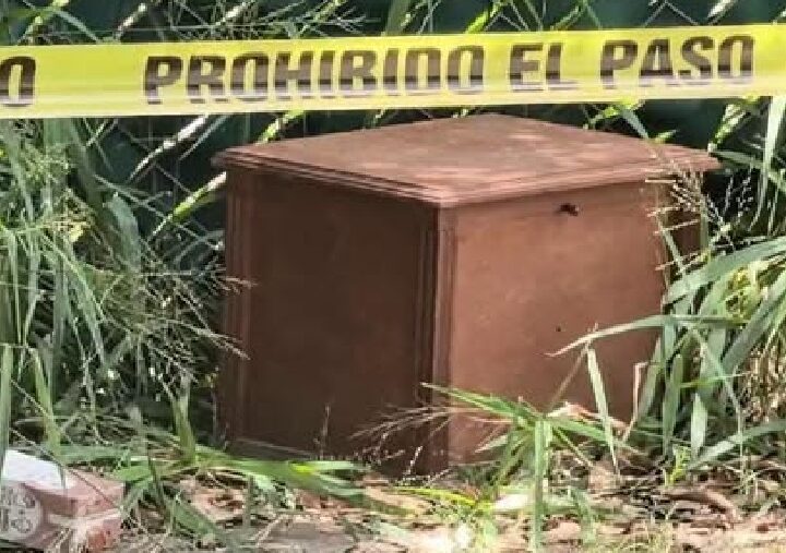 Hallan una urna con cenizas abandonada en un terreno de Cholul
