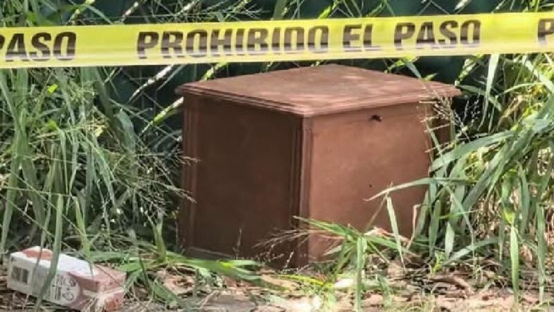 Hallan una urna con cenizas abandonada en un terreno de Cholul