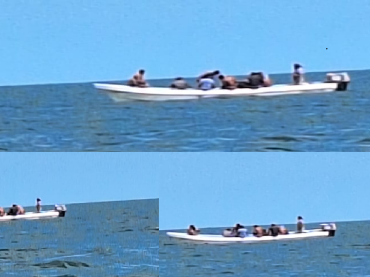 Buzos furtivos acaban el pulpo desde Telchac hasta el faro de Yalkubul en Dzilam de Bravo