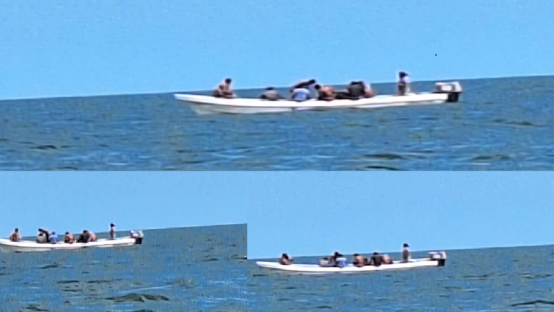 Buzos furtivos acaban el pulpo desde Telchac hasta el faro de Yalkubul en Dzilam de Bravo
