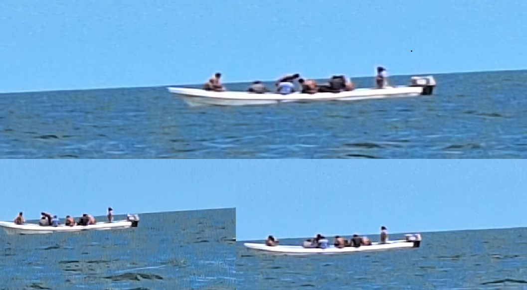 Buzos furtivos acaban el pulpo desde Telchac hasta el faro de Yalkubul en Dzilam de Bravo