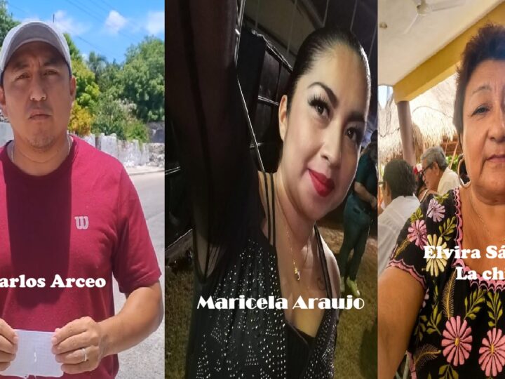 La chata, la China y un Burro buscan la candidatura de Morena en Teya