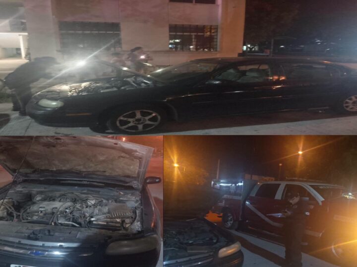 Una serpiente moviliza a la policía y bomberos de Umán: Estaba en el motor de un automóvil