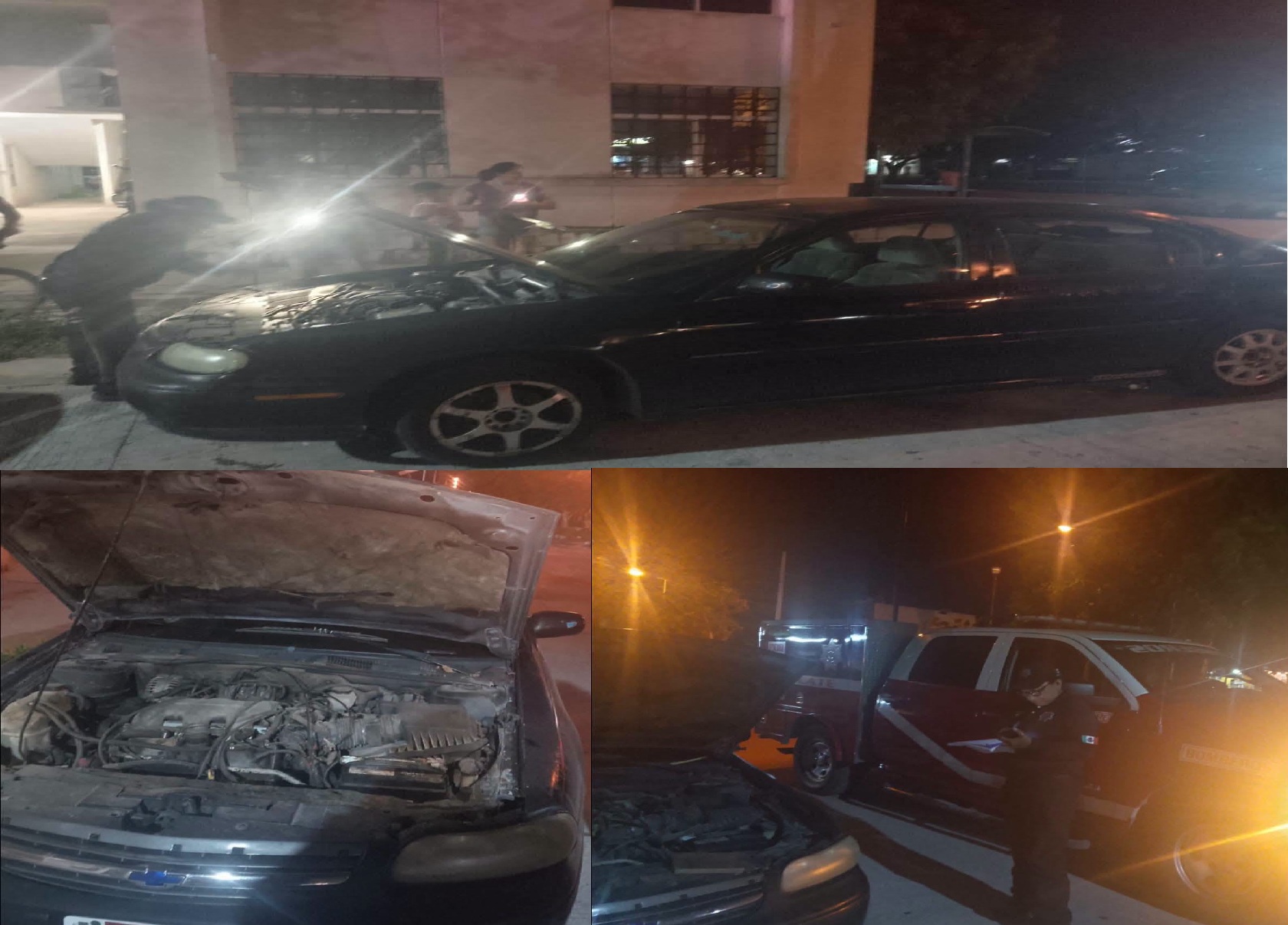 Una serpiente moviliza a la policía y bomberos de Umán: Estaba en el motor de un automóvil