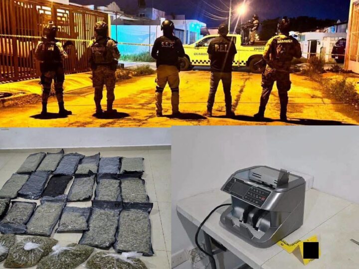 Aseguran más de 400 kilos de droga en dos cateos uno en Mérida y otro en Conkal: No hubo detenidos