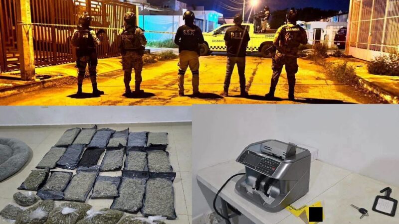 Aseguran más de 400 kilos de droga en dos cateos uno en Mérida y otro en Conkal: No hubo detenidos