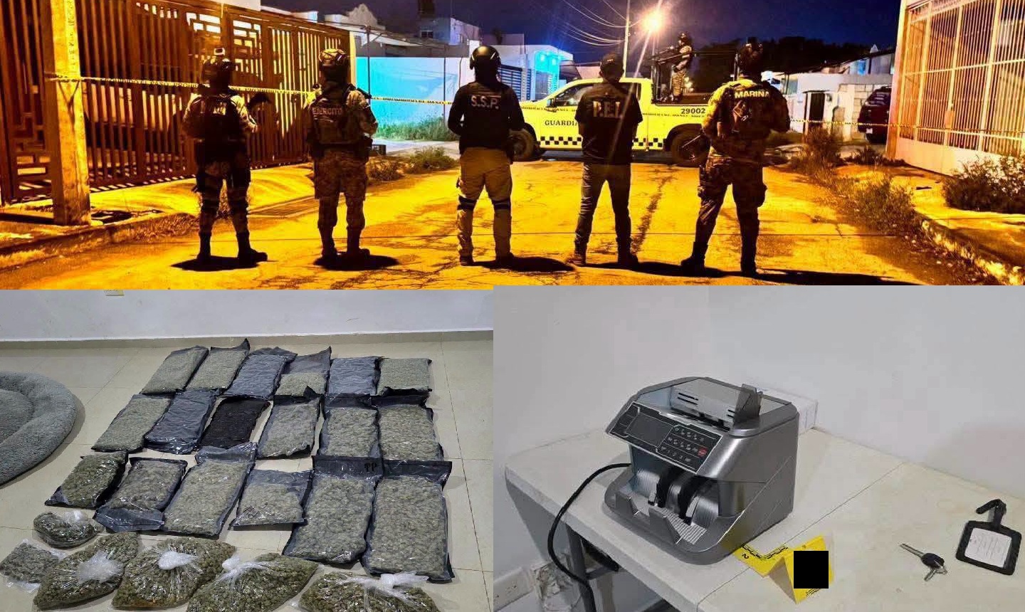 Aseguran más de 400 kilos de droga en dos cateos uno en Mérida y otro en Conkal: No hubo detenidos