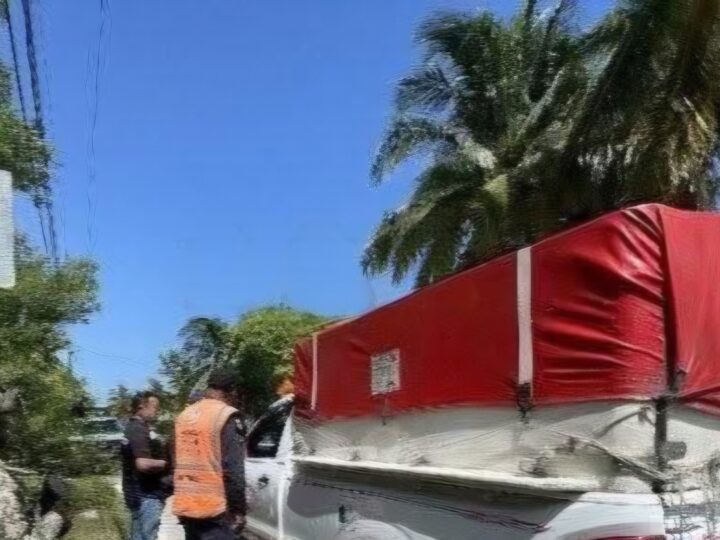 Marino y Conapesca decomisan más de una tonelada de besugo fresco en San Crisanto