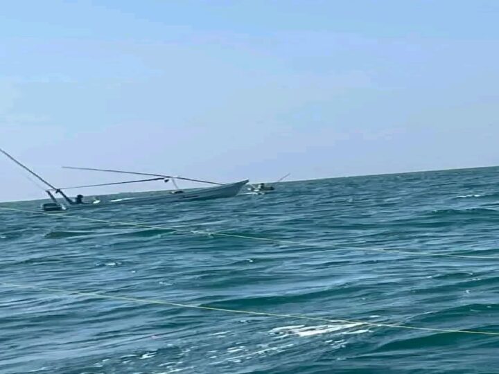Depredación y buceo furtivo hunden el inicio de la temporada de pulpo
