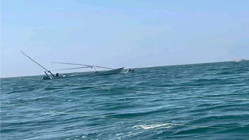 Depredación y buceo furtivo hunden el inicio de la temporada de pulpo