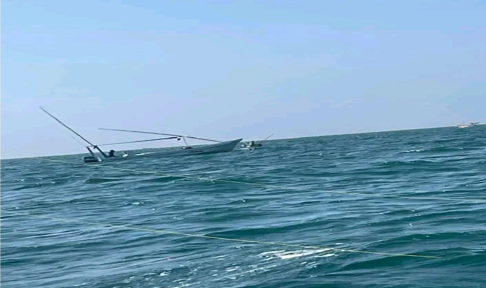 Depredación y buceo furtivo hunden el inicio de la temporada de pulpo