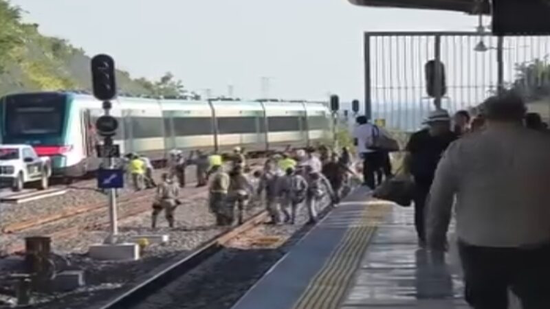 Un peligro viajar en el Tren Maya: Otra vez se descarrilo, esta vez en Campeche