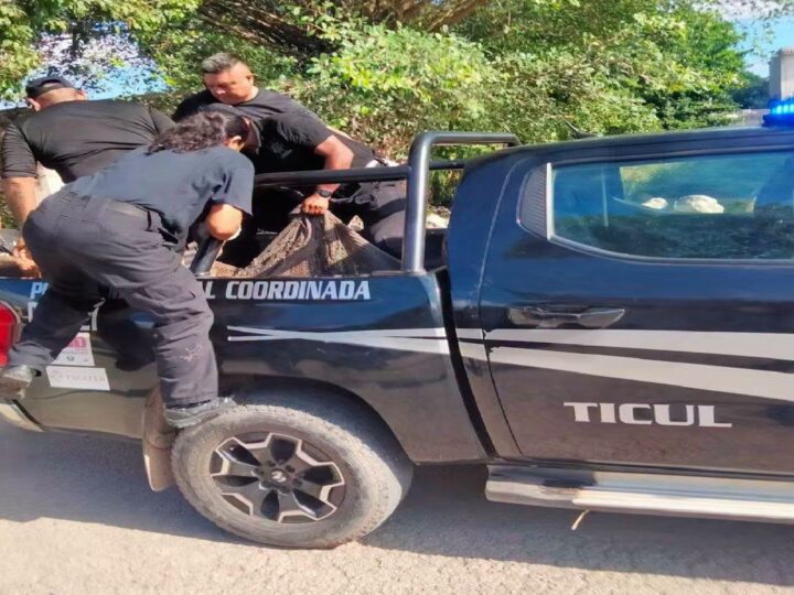 Indignación en Ticul: Policías clasistas trasladan a un joven indigente en una hamaca