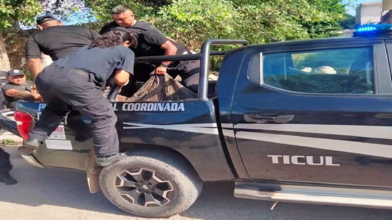 Indignación en Ticul: Policías clasistas trasladan a un joven indigente en una hamaca