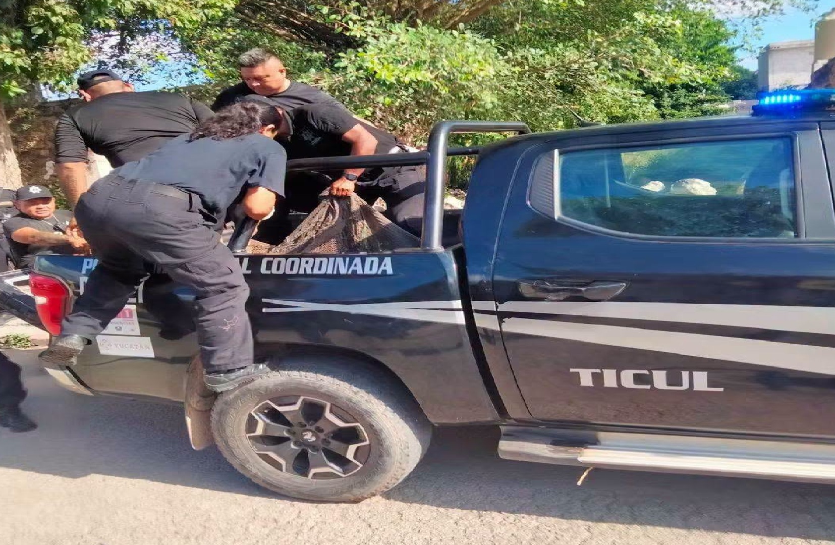 Indignación en Ticul: Policías clasistas trasladan a un joven indigente en una hamaca