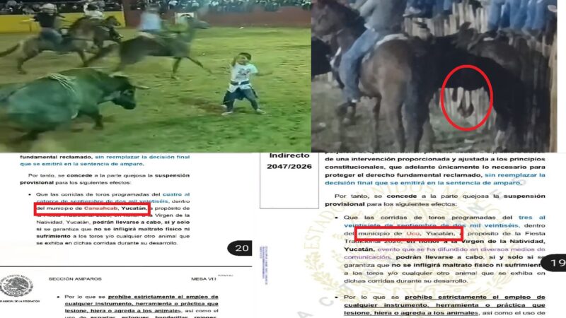 Juez federal ordena la suspensión provisional de torneos de lazo en Cansahcab Ucú y Sotuta