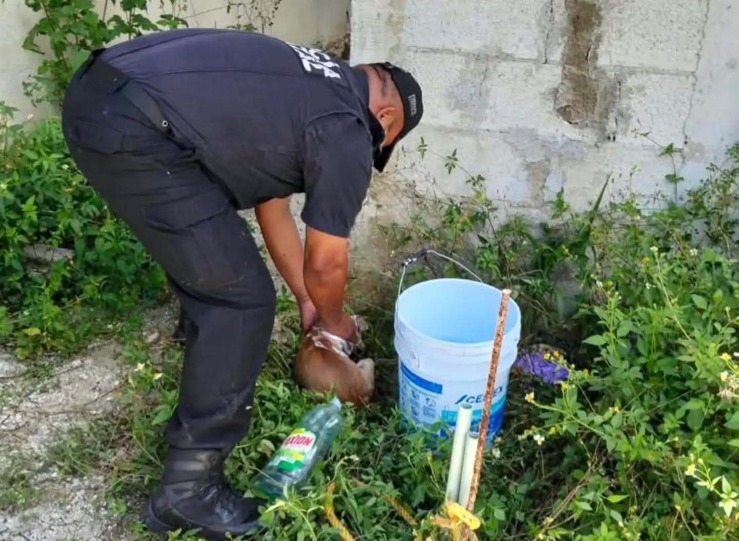 Policías rescatan un cachorro de la muerte: Estaba dentro de un sumidero en Dzityá