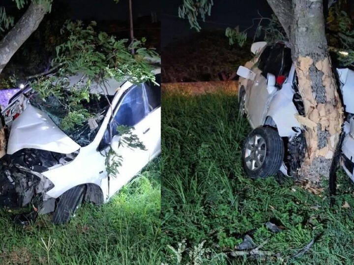 Un joven conductor choca contra un árbol y muere prensado en el periférico de Mérida