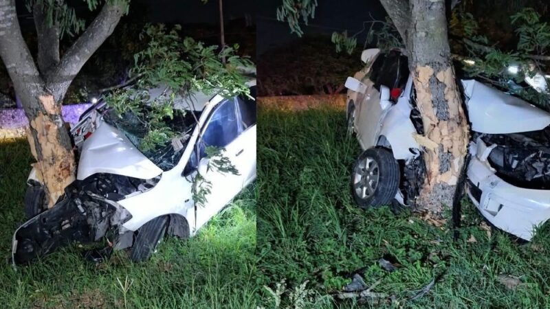 Un joven conductor choca contra un árbol y muere prensado en el periférico de Mérida